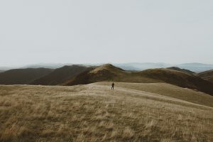 plateau herbeux, Pays Basque. Photo : Jon Sanchez (@platoux)