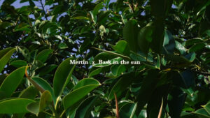 Bask in the Sun x Xavi Martin